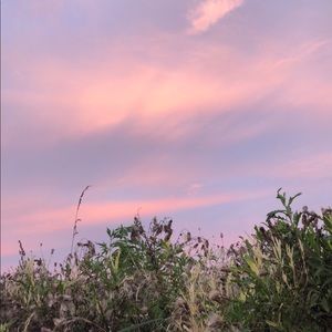 Meet your Posher, Tarra